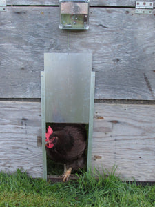 Automatic Chicken Coop Door Opener - Cheeper Keeper