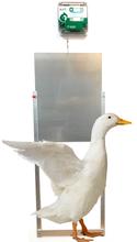 Automatic Programmable Duck Door Opener- Complete Kit - Fits All Breeds Ducks-Cheeper Keeper