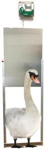 Automatic Programmable Goose Door Opener - Complete Kit - Largest Poultry Door Available-Cheeper Keeper